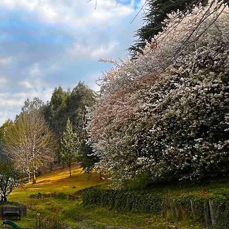 ホテル マラカイト マナー アンダーバーグ エクステリア 写真