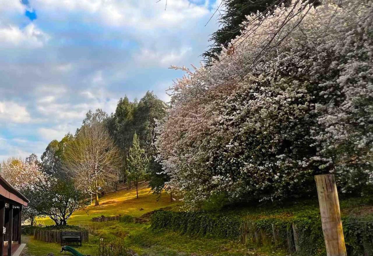 ホテル マラカイト マナー アンダーバーグ エクステリア 写真